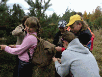 �����������